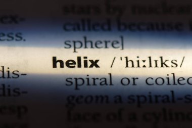 Helix Word'de bir sözlük. Helix kavram.