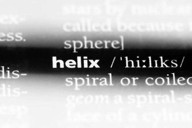 Helix Word'de bir sözlük. Helix kavram.