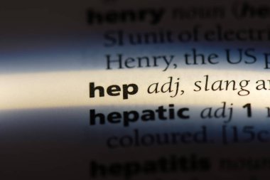 bir sözlüğü'ndeki hepatit sözcüğü. Hepatit kavramı.