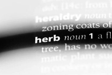 ot Word'de bir sözlük. ot kavramı.