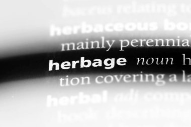 Yaylı Word'de bir sözlük. Yaylı kavramı.