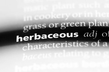 bir sözlüğü'ndeki otsu sözcüğü. Otsu kavramı.