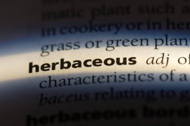 bir sözlüğü'ndeki otsu sözcüğü. Otsu kavramı.