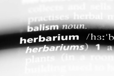 sulak Sözlükteki kelime. sulak kavramı.