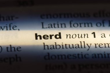 bir sözlüğü'ndeki sözcüğü sürüsü. Sürüyü kavramı.