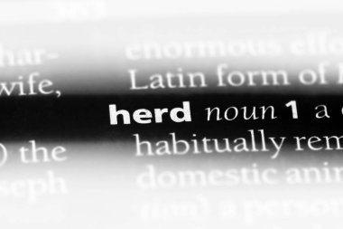 bir sözlüğü'ndeki sözcüğü sürüsü. Sürüyü kavramı.