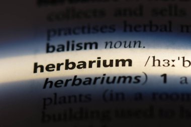 sulak Sözlükteki kelime. sulak kavramı.