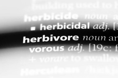 ot obur kelimeyle bir sözlük. otobur kavramı.