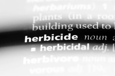 herbisit Word'de bir sözlük. herbisit kavramı.