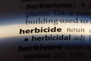 herbisit Word'de bir sözlük. herbisit kavramı.