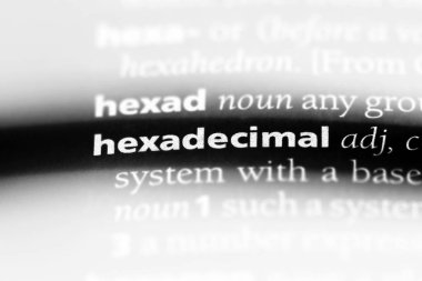 bir sözlüğü'ndeki onaltılı sözcüğü. onaltılık kavramı.