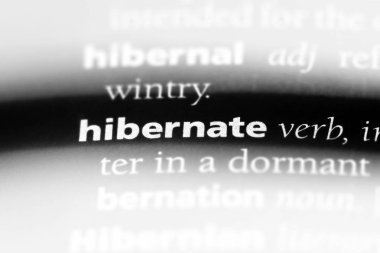 bir sözlüğü'ndeki sözcüğü hazırda bekletme. kavram hazırda bekleme.