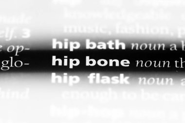 kalça kemiği Word'de bir sözlük. kalça kemiği kavramı.