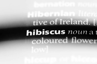 Hibiscus Word'de bir sözlük. Hibiscus kavramı.