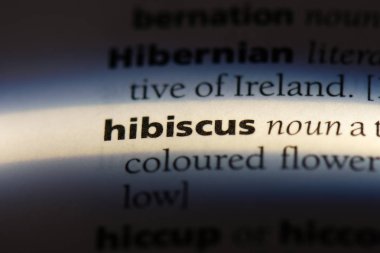 Hibiscus Word'de bir sözlük. Hibiscus kavramı.