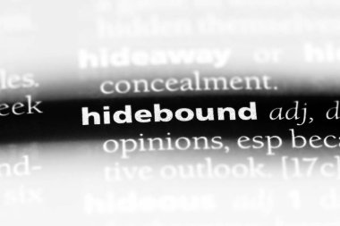 hidebound tek kelimeyle bir sözlük. hidebound kavramı.