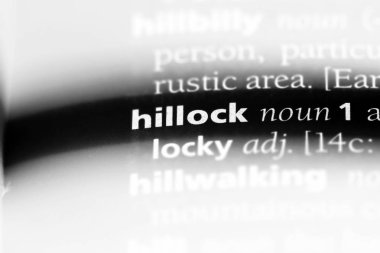 bir sözlüğü'ndeki yükseltide sözcüğü. yükseltide kavramı.