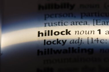 bir sözlüğü'ndeki yükseltide sözcüğü. yükseltide kavramı.