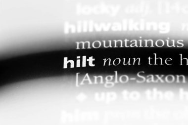 kabzası Word'de bir sözlük. kabzası kavramı.