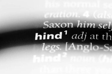 arka tek kelimeyle bir sözlük. arka kavramı.