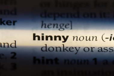 hinny sözcük sözlüğe. hinny kavramı.