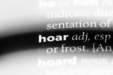 detay tek kelimeyle bir sözlük. detay kavramı.