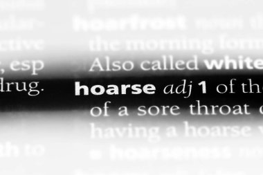 bir sözlüğü'ndeki boğuk sözcüğü. boğuk kavramı.