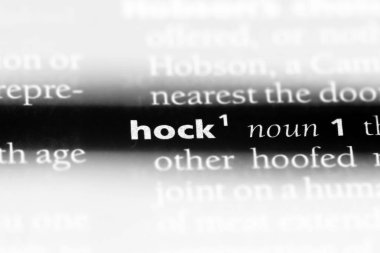 Hock Word'de bir sözlük. Hock kavramı.