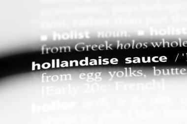 Hollandaise sos Word'de bir sözlük. Hollandaise sos kavramı.