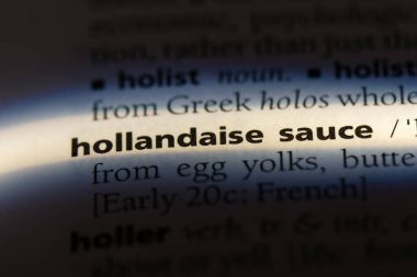 Hollandaise sos Word'de bir sözlük. Hollandaise sos kavramı.