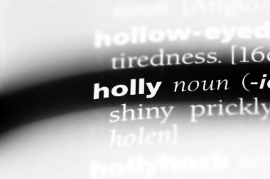 Holly Word'de bir sözlük. Holly kavramı.