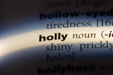 Holly Word'de bir sözlük. Holly kavramı.