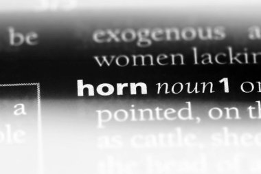 boynuz Word'de bir sözlük. boynuz kavramı.