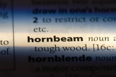 gürgen Word'de bir sözlük. gürgen kavramı.