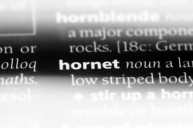 Hornet Word'de bir sözlük. Hornet kavramı.