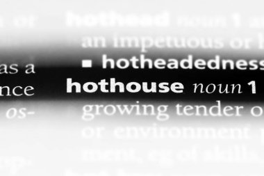 sera tek kelimeyle bir sözlük. sera kavramı.