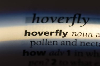 bir sözlüğü'ndeki hoverfly sözcüğü. hoverfly kavramı.