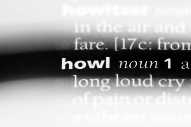 bir sözlüğü'ndeki sözcüğü uluyor. kavram feryat.