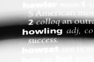 bir sözlüğü'ndeki uluyan sözcüğü. Uluyan kavramı.