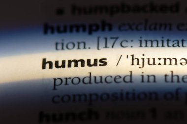 Humus Word'de bir sözlük. Humus kavramı.