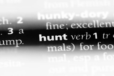 sözcük sözlükte avlamak. kavram avı.