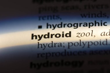 Hydroid tek kelimeyle bir sözlük. Hydroid kavramı.