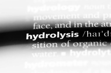 hidroliz Word'de bir sözlük. hidroliz kavramı.