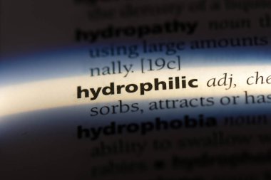 Hidrofilik tek kelimeyle bir sözlük. Hidrofilik kavramı.