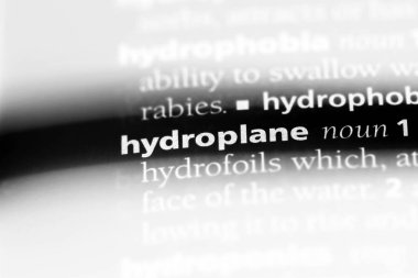 deniz uçağı Word'de bir sözlük. deniz uçağı kavramı.