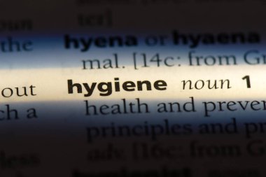 bir sözlüğü'ndeki hijyen sözcüğü. hijyen kavramı.