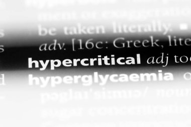 bir sözlüğü'ndeki detaycı sözcüğü. detaycı kavramı.