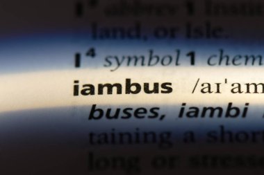 iambus sözcük sözlüğe. iambus kavramı.