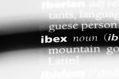 bir sözlüğü'ndeki dağ keçisi sözcüğü. dağ keçisi kavramı.