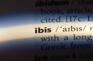 Ibis Word'de bir sözlük. Ibis kavramı.
